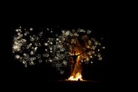 Festival review: Wickerman 2012