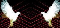 Warehouse Project New Year's Day - line-up announced tomorrow!