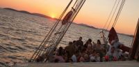 Electric Elephant boat parties - now on sale!