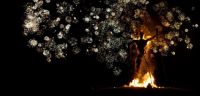 Wickerman 2013: Earlybird tickets now on sale!