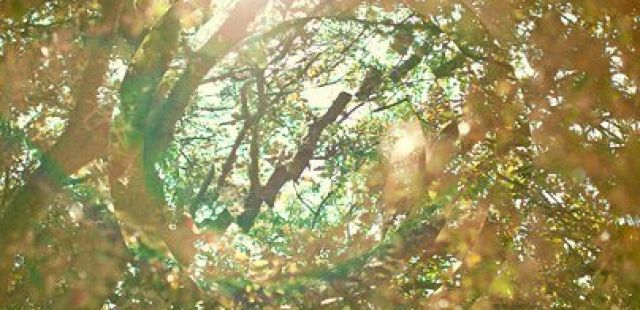 Hideout, Field Day and The Warehouse Project team up for new Croatian Festival