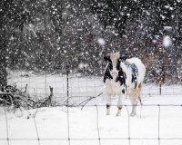 The season to be jolly is here..