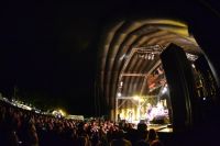 Weyfest 2013 - Day Tickets on Sale Now!