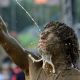 Festival Focus: Festivals with Luxury Showers