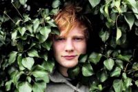 Ed Sheeran to join The Futureheads on Cloud 9