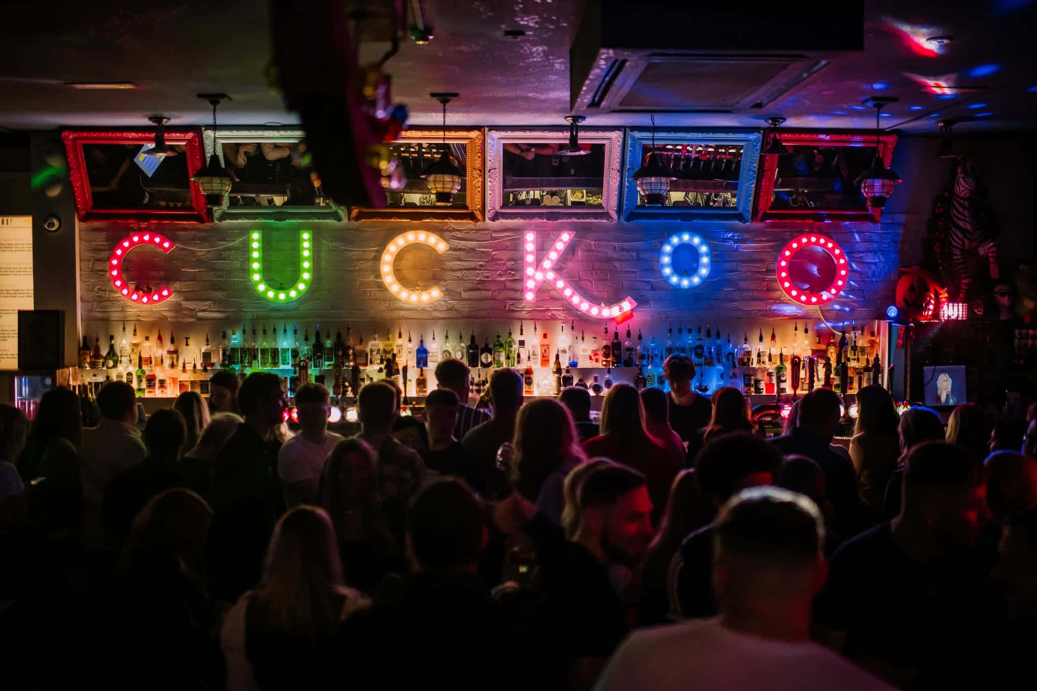 Cuckoo-Leeds-3